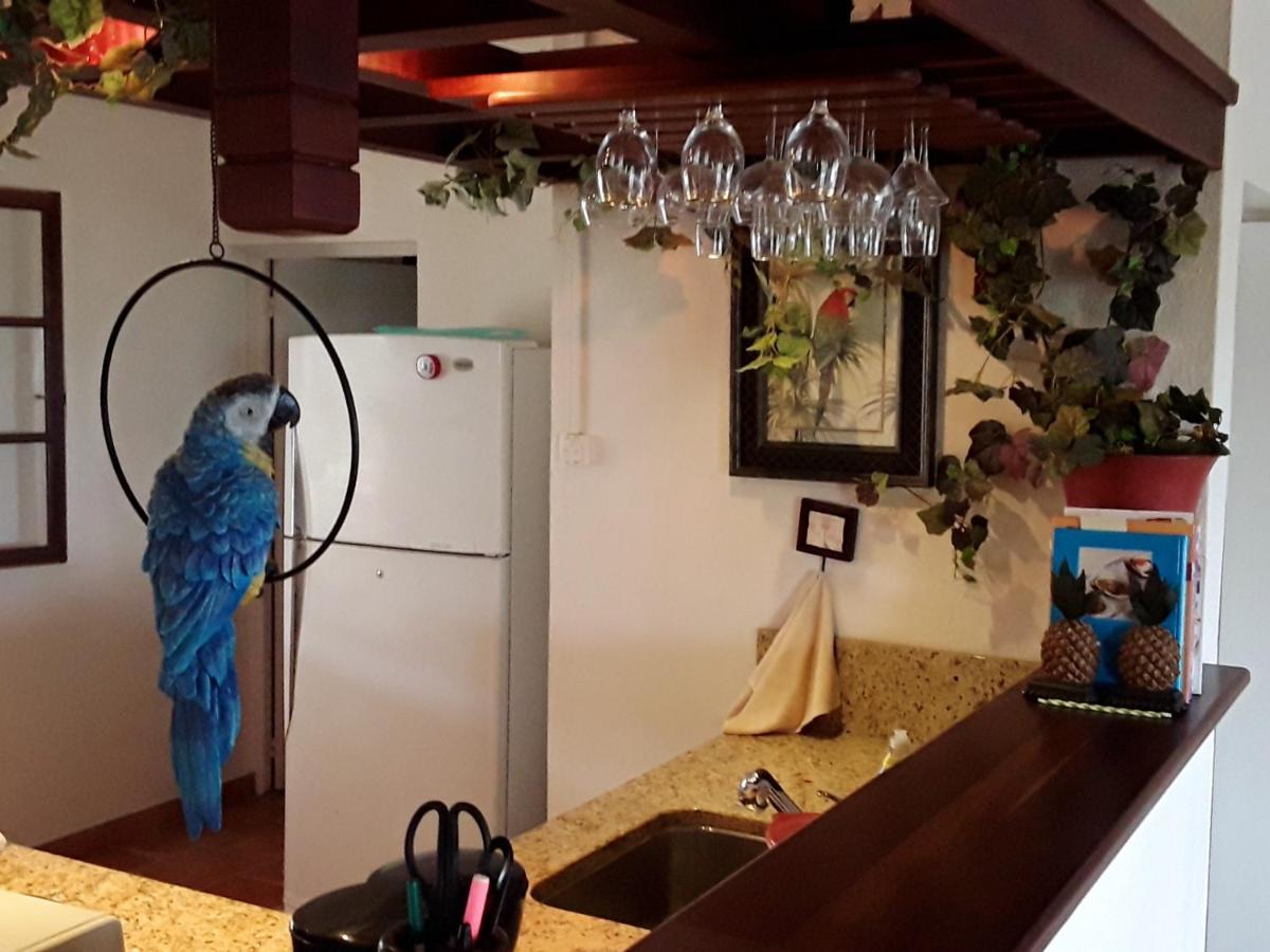 Luxurious Villa In Saint Martin كول دي ساك المظهر الخارجي الصورة
