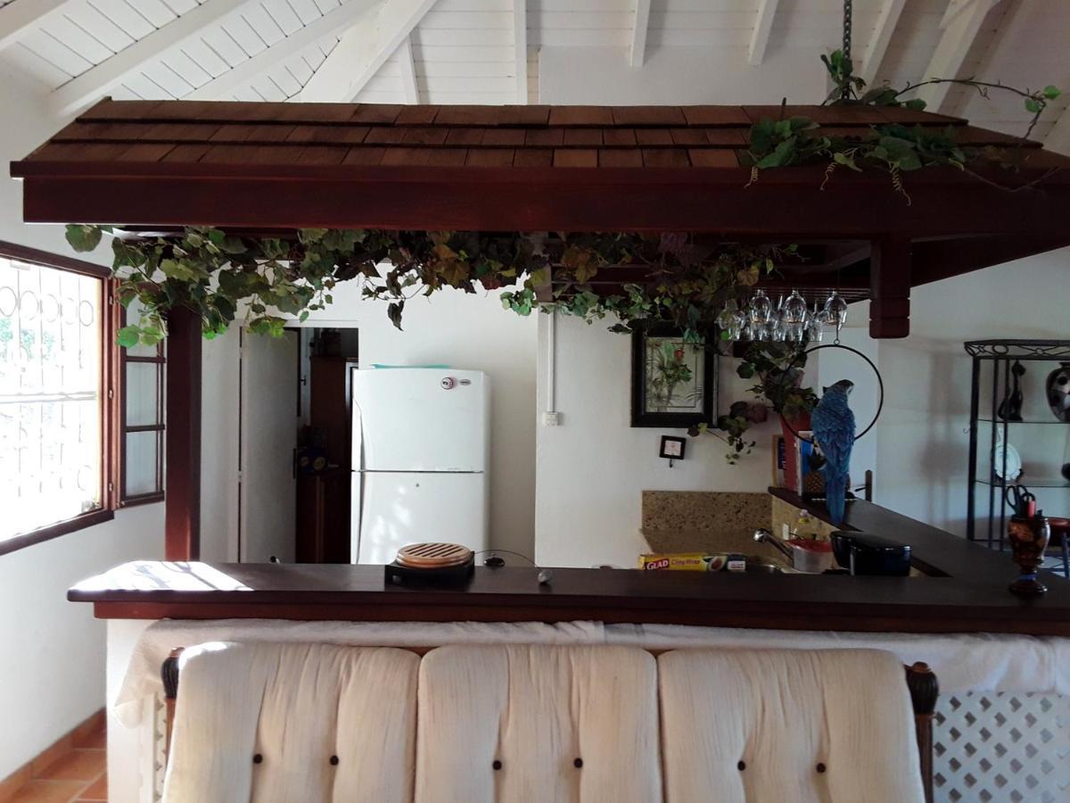 Luxurious Villa In Saint Martin كول دي ساك المظهر الخارجي الصورة